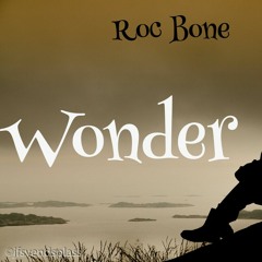 Wonder  Instrumental