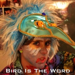 Bird Is The Word (Feb 2017)