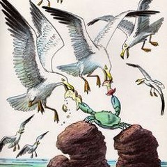 Kermit the Hermit prod. by Seven Daze