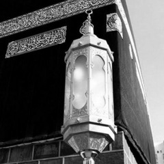 ما هي الكتُب التي يعتني بها المبتدئ في طلبهِ للعلِم؟ لفضيلة الشيخ محمد بن هادي المدخلي حفظه الله