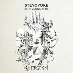 V.A. - Steyoyoke Anniversary, Vol. 5 [SYYK060]