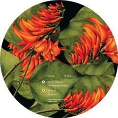 Kaido - Never Stopped