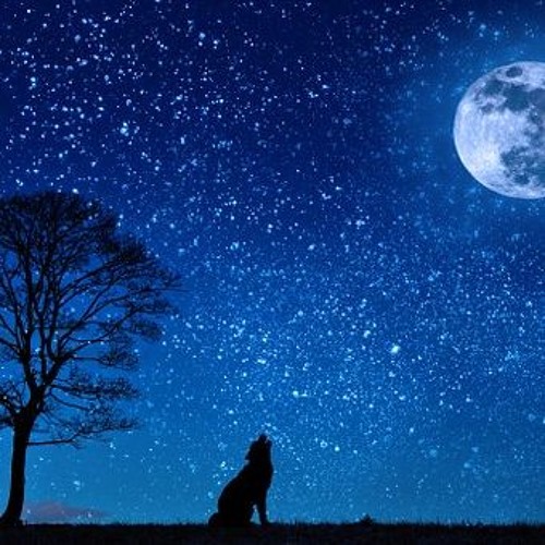 Morgan - Mi Cielo