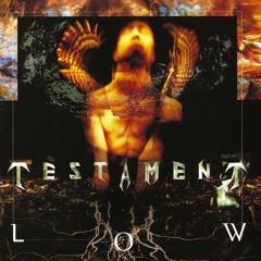 Testament - Low [Instrumental cover]