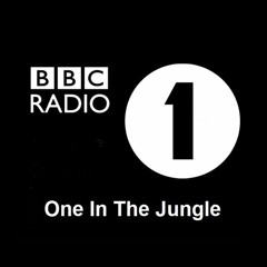 BBC Radio One In The Jungle - Shy FX, DJ Ash & MC Det (17/08/95)