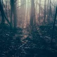 The Metronomic Society (disquiet0267)