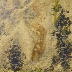 Jogg Playlist. 1 (Random Rock Songs)