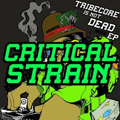 RACHOTEK - CRITICAL STRAIN [TIND-EP01]