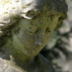 Everyone's Your Best Friend (When You're Dead)