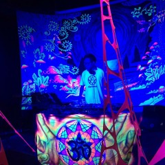 Dr Foo Live set from Shanti Shanti (Feb 11, 2017)