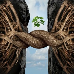 Root Chakra Healing Music - The Roots Of Self Love