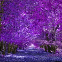 That One Forest Level