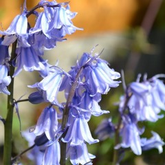 April