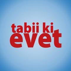 TABİKİ EVET AK PARTİ