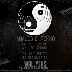 B2. KETACUESTES / Analogic Tekno 001 / Wallyens Erredeka
