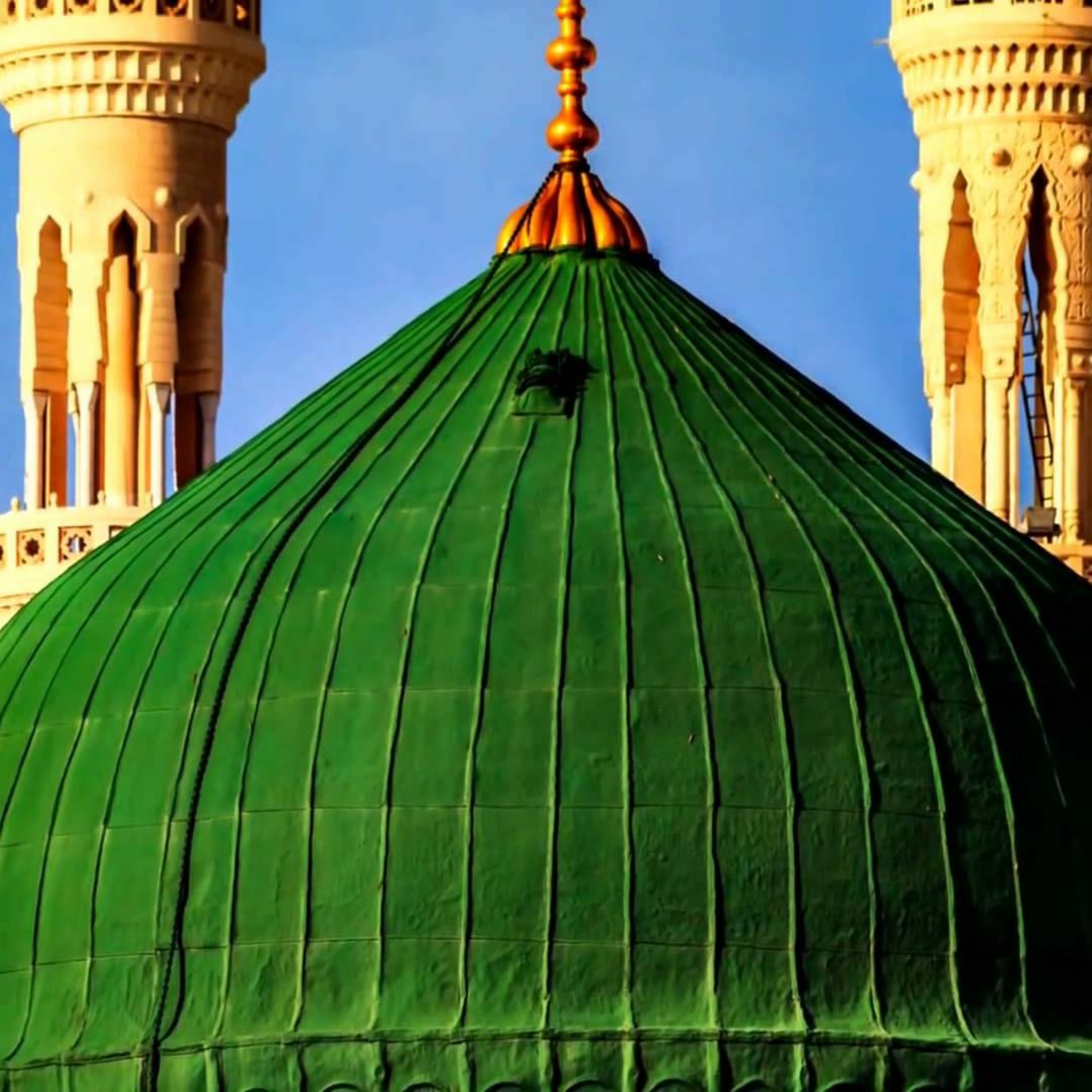 قصيدة ما لذة العيش إلا صحبة الفقرا بصوت فضيلة العلامة أ.د علي جمعة episode artwork