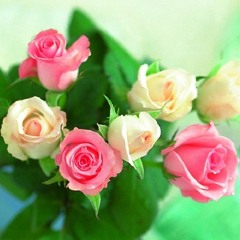 Radio 7 - Valentine, Yeu Nhu Nguoi Ta Yeu Nhau