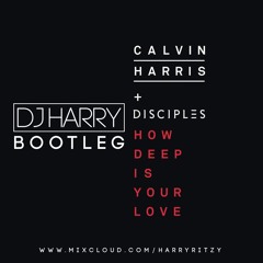 How Deep Is Your Love - DJ Harry Ritzy Bootleg