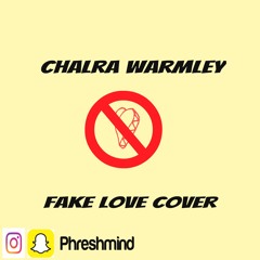 Fake Love Cover