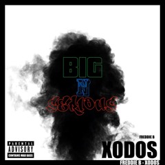 XODOS -  Big N Serious (XODOS Bootleg)
