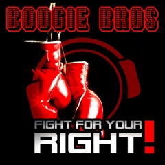 Boogie Bros - Fight For Your Right (Justin Corza remix)