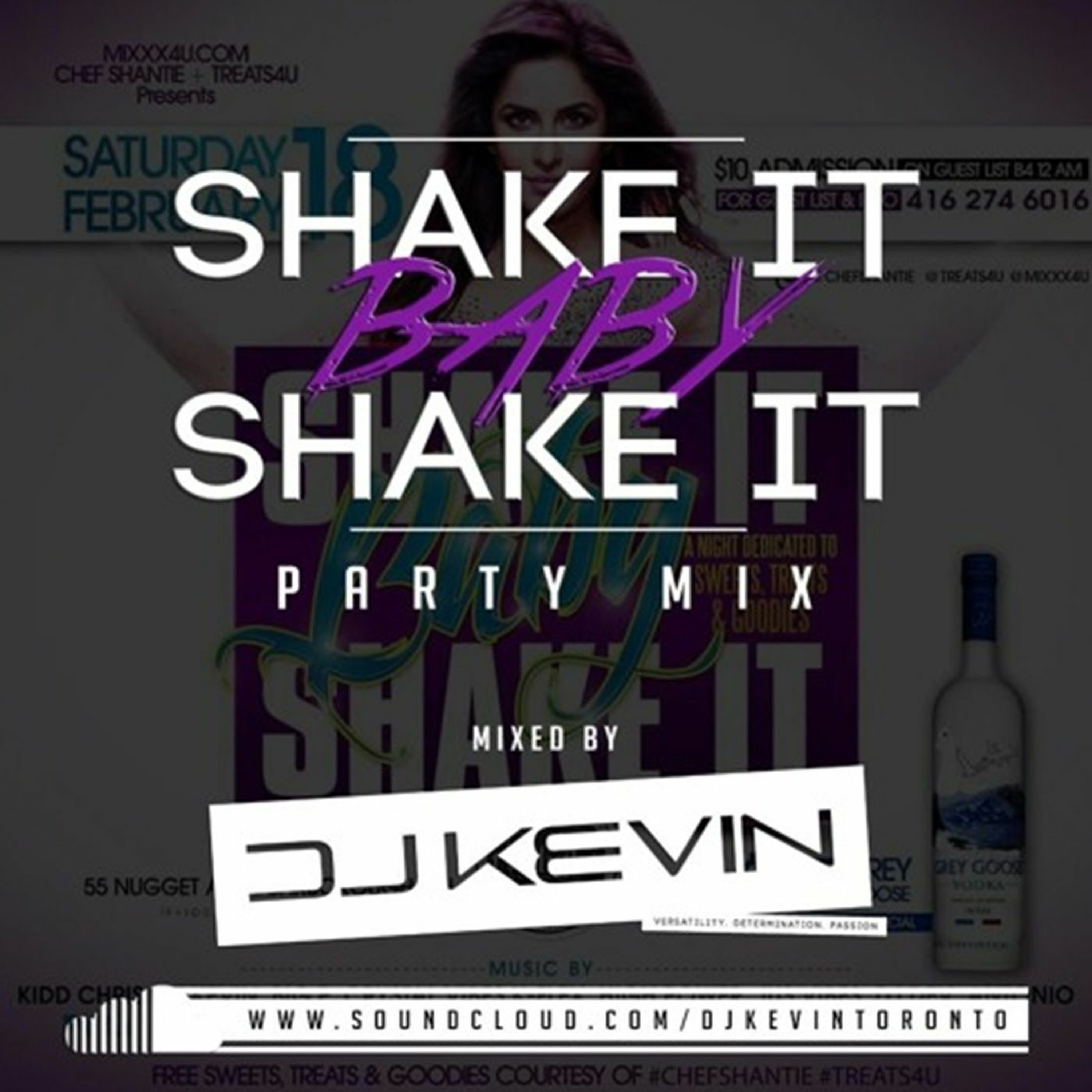 Shake It Baby Shake It [Party Mix] - Mixed by DJ Kevin