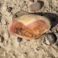 You've Got A Lot Of Nerve w/Bruce Salmon