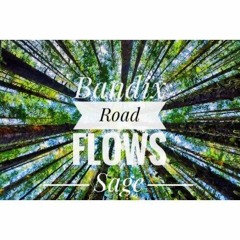 Flows From Bandix