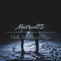 Neutrin05 - Not Without You