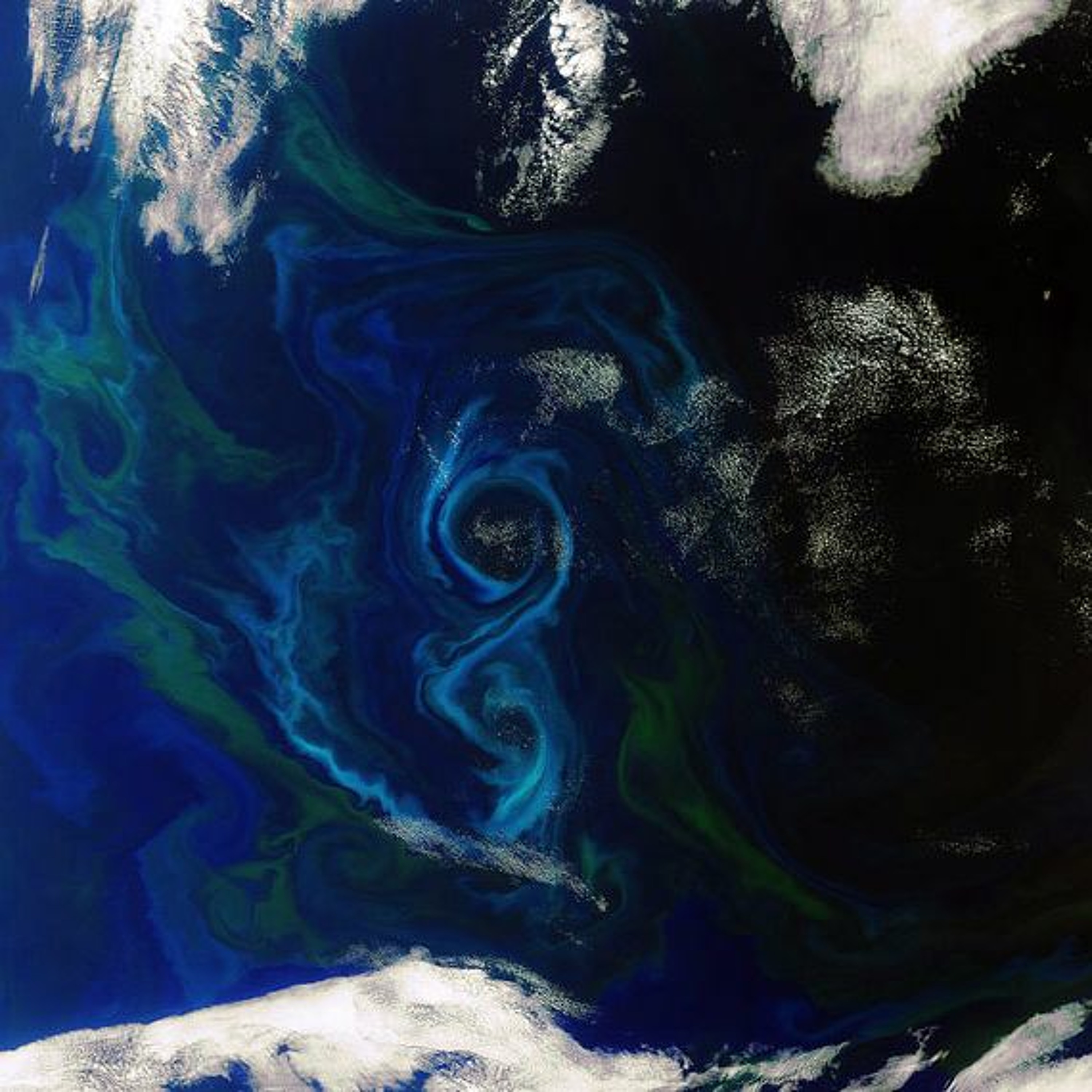 bloom episode artwork