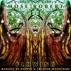 Subterranean Sanctuary (Mose Robert Remix) - Desert Dwellers