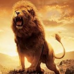 Jungle (remix) JohnTheDivine