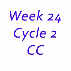 C2 Week 24 - History - Apartheid Ending