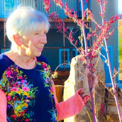 #32 Eileen Mulvihill - Villanueva