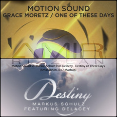 Motion Sound vs. Markus Schulz feat. Delacey - Destiny Of These Days (AmirRizzlan 2k17 Mashup)
