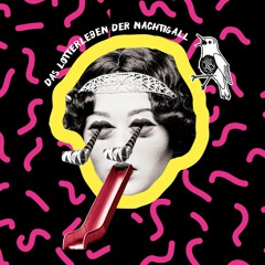 Bud Dancer — Das Lotterleben der Nachtigall NYE — TapTab 2016/17