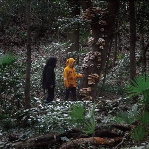 櫛の火 | Fire Within The Comb