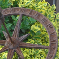 In The Sundial Garden | Meditation & Yoga | Relaxation & Healing