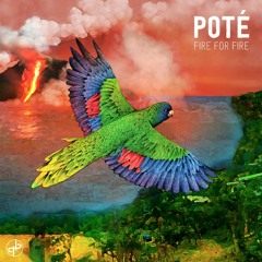 Poté - Before The Light (feat. Carmody)