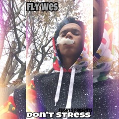 don't stress - Fly Wes