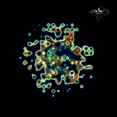 Emergence I (β)