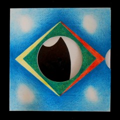 MVTMJSUNP vinyl 7'' split w/ Negra Branca