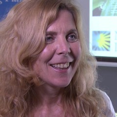 Interview with Amy Austin, Environment Editor, New Phytologist