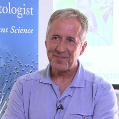 Interview with Colin Brownlee, Physiology & Development Editor, New Phytologist