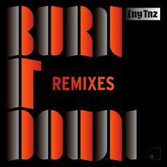 LNY TNZ - Burn It Down (Artino Remix)[Free Download]