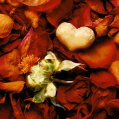 You Are Love