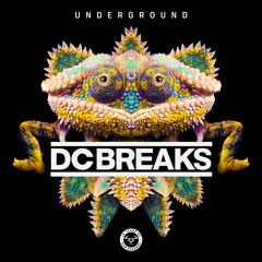 Underground (Radio Rip)