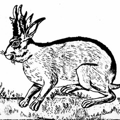 Ernst Skroller - Jackalope