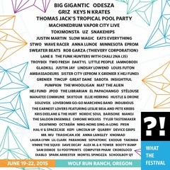 What The Festival 2015