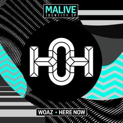 Malive - Here Now (Original Mix)